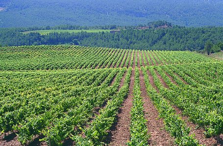 ANITEAF pone a disposición de la Unió de Pagesos 12 Estaciones ITEAF para hacer inspecciones en Cataluña – Interempresas Agricultura