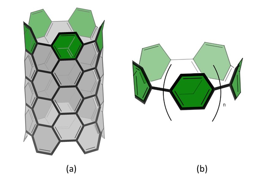 ncpps_figura1.jpg