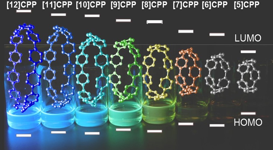 ncpps_figura2.jpg