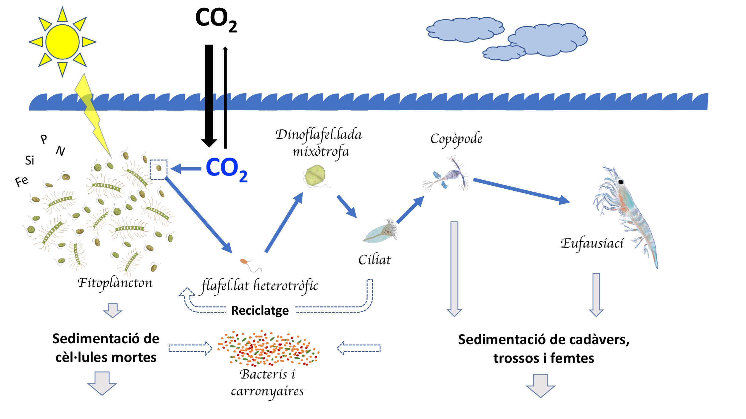 bomba_biologica_0.jpg