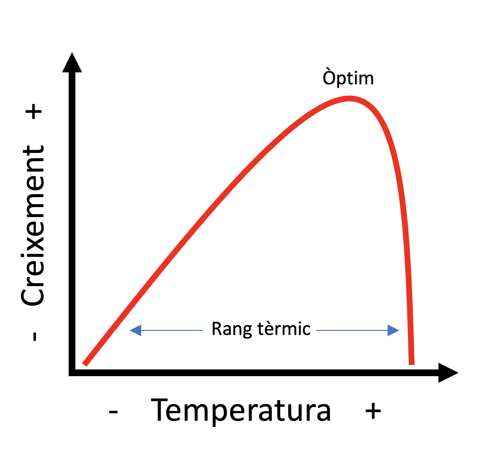 finestra_termica.png