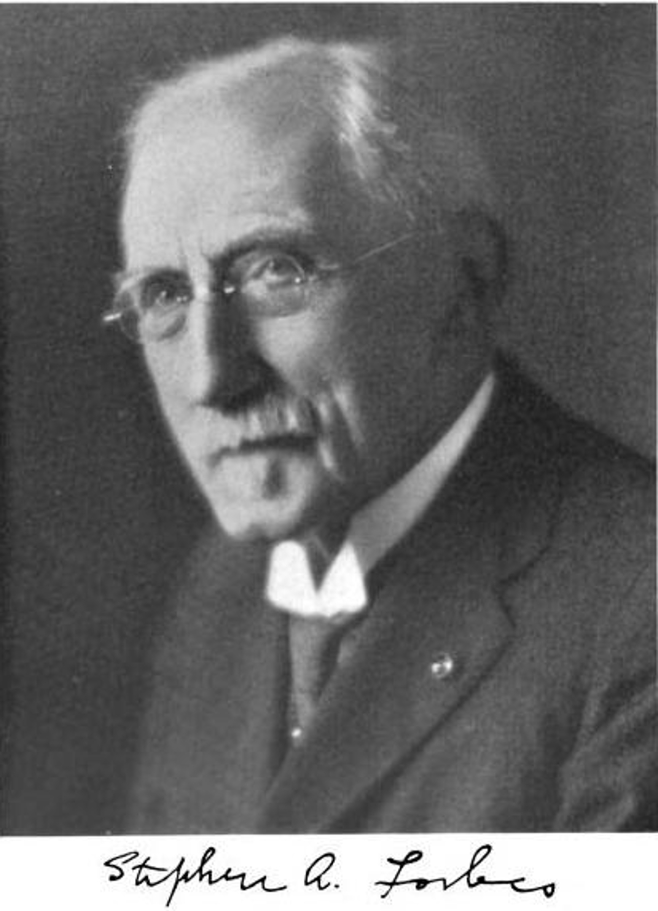 stephen_alfred_forbes_001.jpg