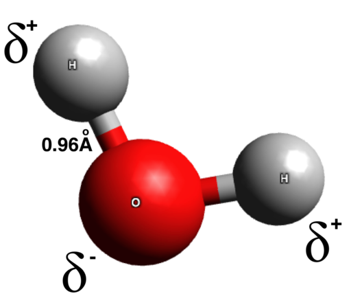 estructura_aigua_electronegativitat.png