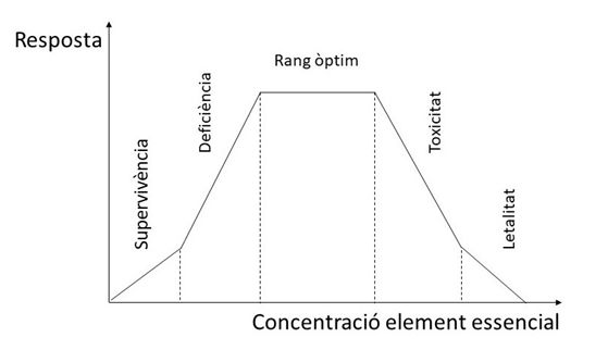 figura3.jpg