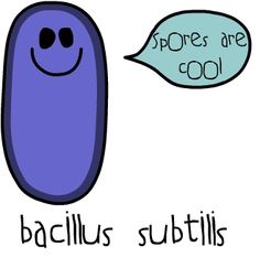 cool_bacillus-subtilis-science-comics.jpg