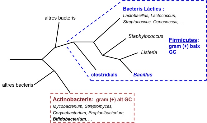 fig_1_tree_gram_ab.jpg