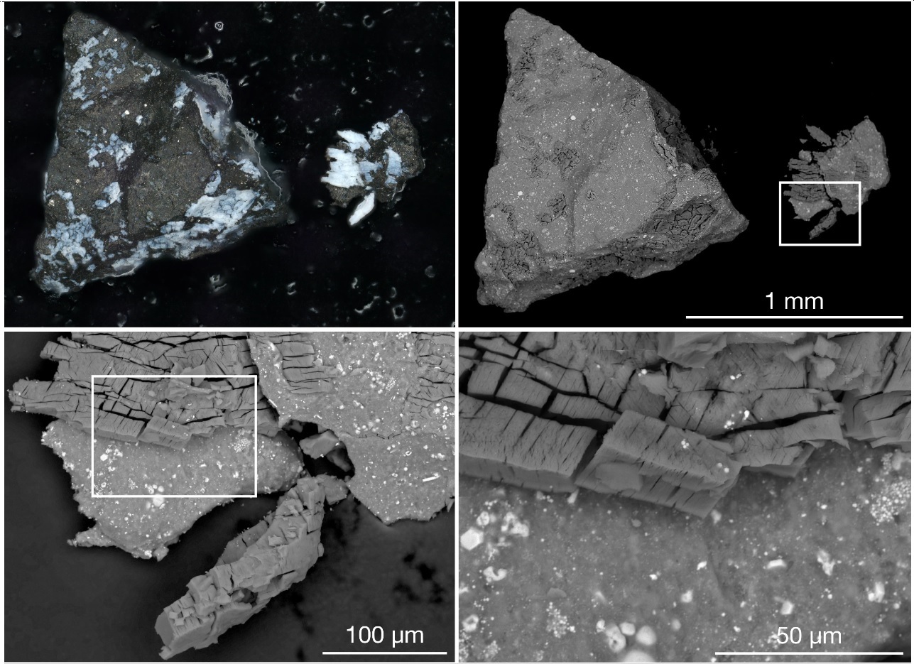 bennu_1.jpg