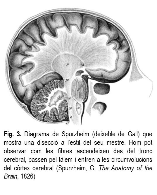 diapositiva1.jpg