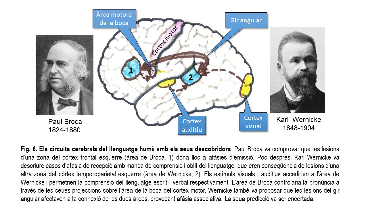 diapositiva3.jpg