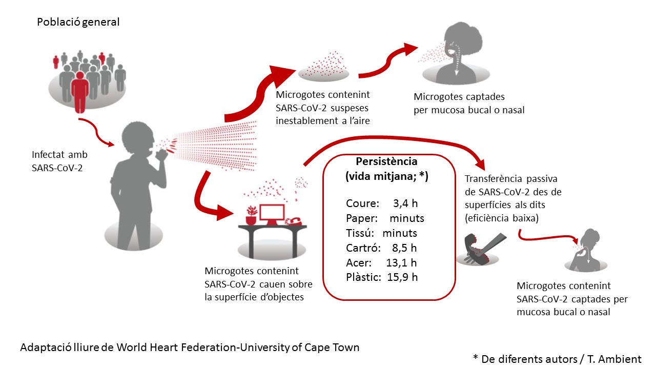 esquema_persistencia_sarscov2_superficies-divulcat_1.jpg