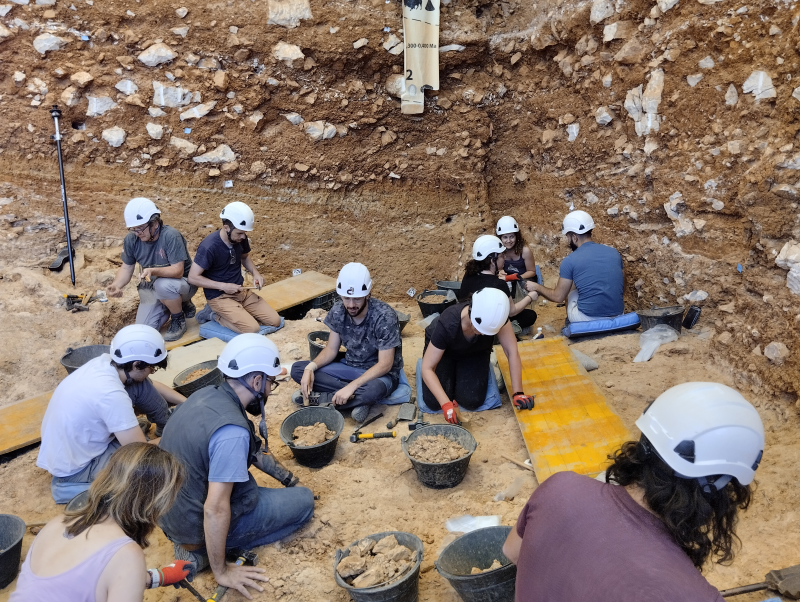 excavacions-jaciment-gran-dolina-atapuercab.png