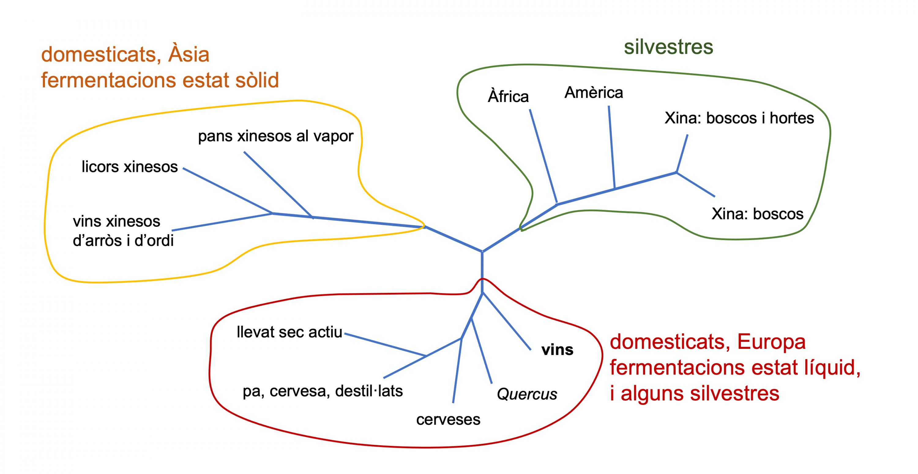 fig2_llevats_3_branques.png