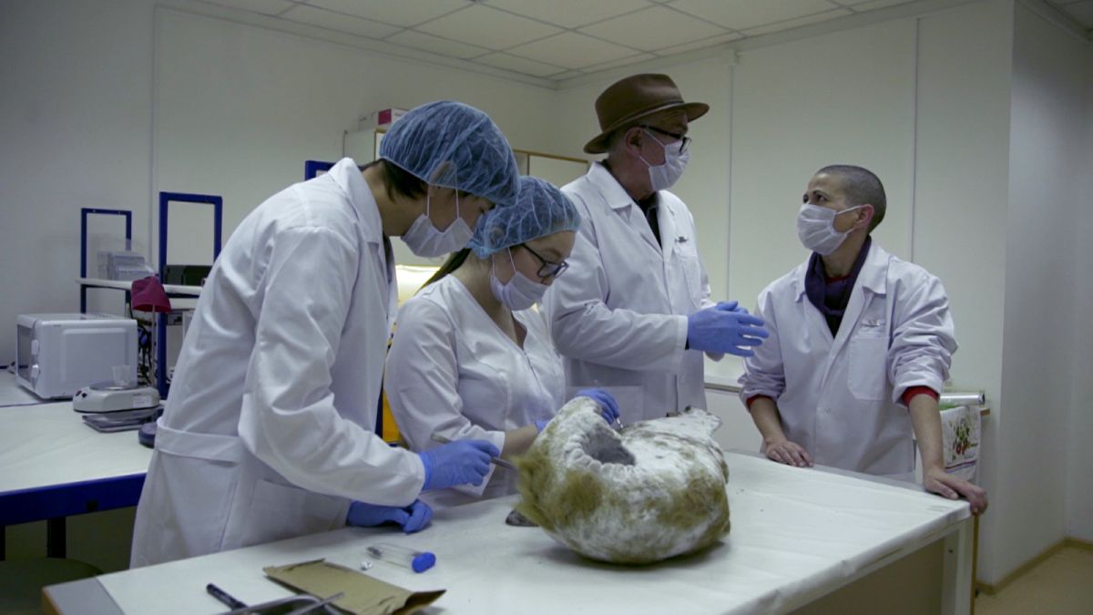 laboratori-paleomagnetica-yakustk-p.jpg