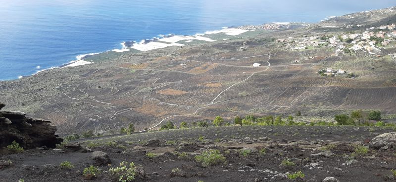 petita_la_palma_ds_2021_95.jpg