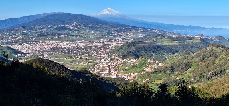 tenerife_mc_ab_2026_343_petit.jpg