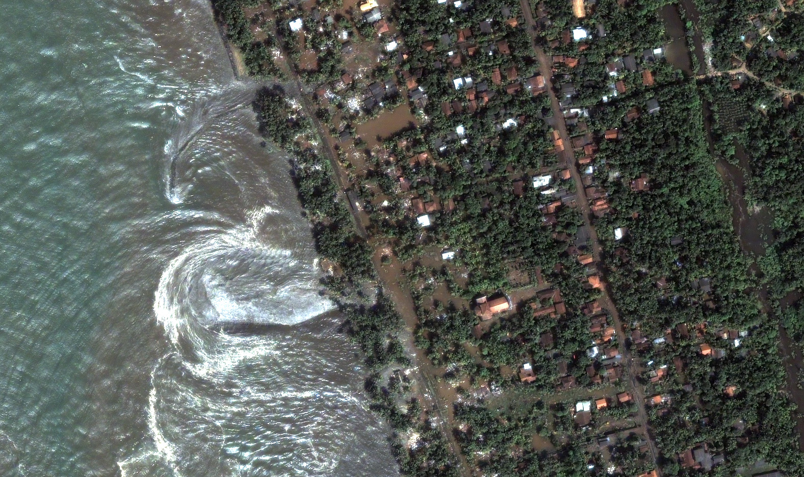 tsunami