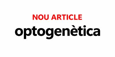 optogenètica