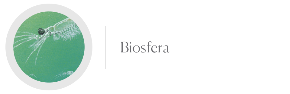 Logo de Biosfera