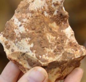 pedra