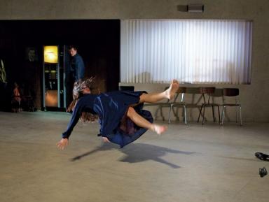 Teatre i dansa 2017