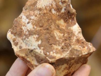pedra