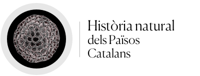 Logo Història Natural dels Països Catalans
